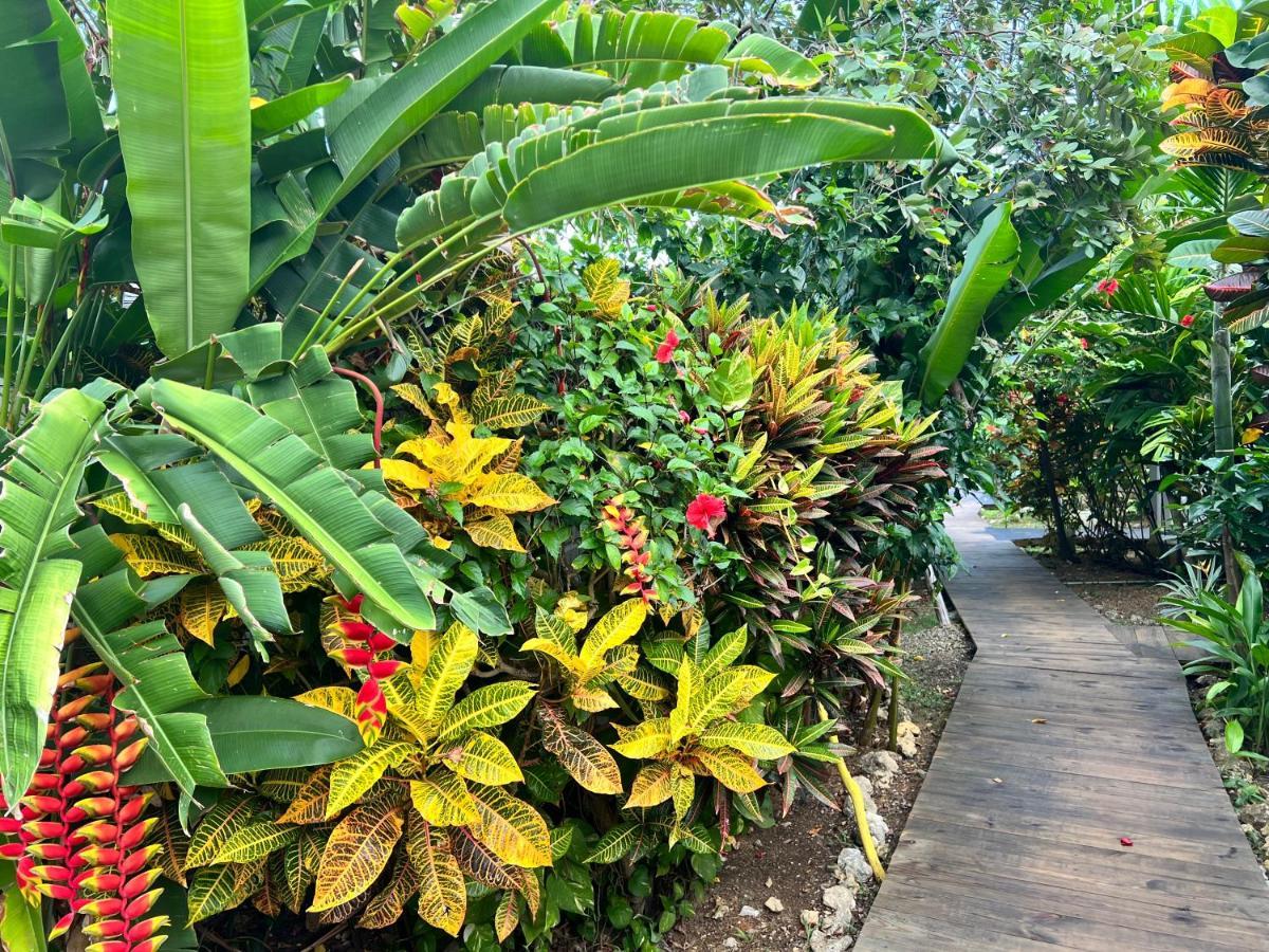 Jamaica Colors Hotel And Eco-Retreat Port Antonio Eksteriør bilde