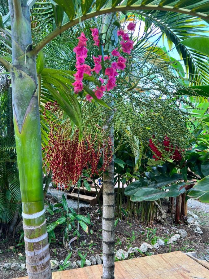 Jamaica Colors Hotel And Eco-Retreat Port Antonio Eksteriør bilde